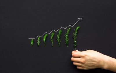 4 idées pour créer son entreprise écologique
